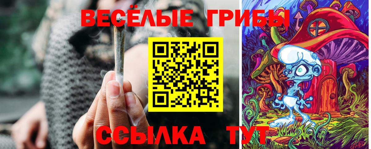 Псилоцибиновые грибы Cubensis Тамбов