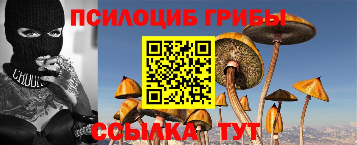 Тамбов  закладка  Вход с VPN  Галлюциногенные грибы GOLDEN TEACHER 