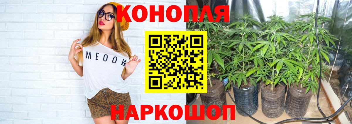 Канабис гибрид Тамбов